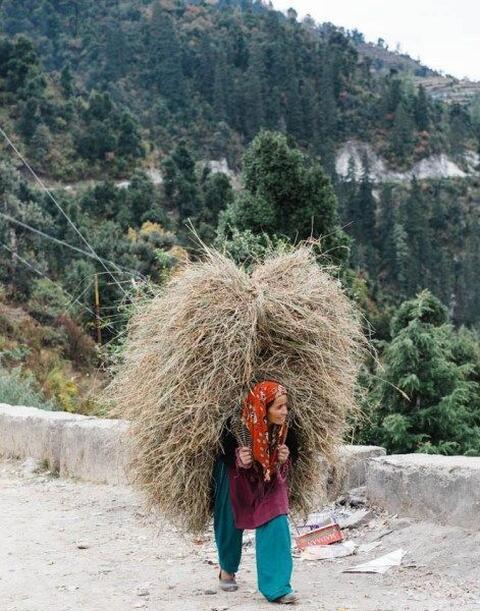 Pahadi Women on working