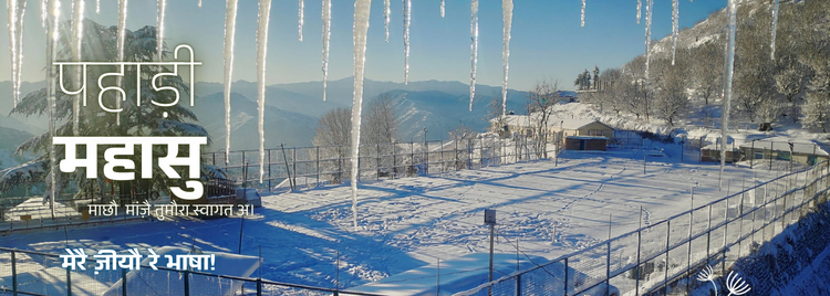 पहाडी महासु 