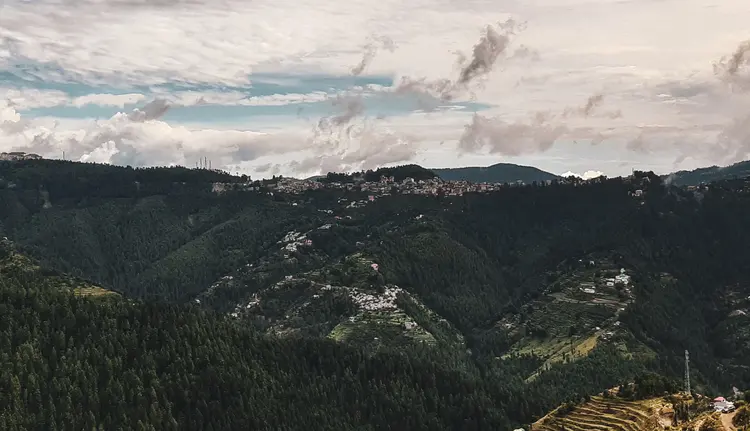 शिमले रे टिंबे